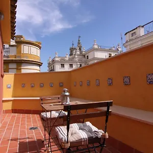 Living Catedral Sevilla