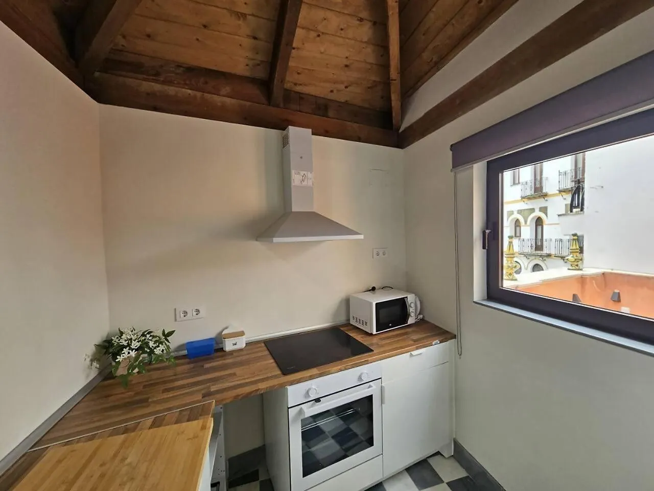 Duplex Con Vistas A Las Setas contacts